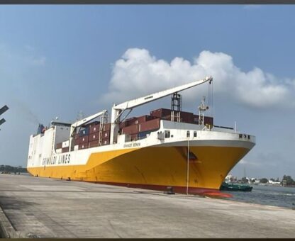 RoRo vs Container Shipping: The Strategic Decision That Determines Your Total Landing Cost