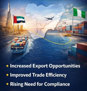 UAE Targets Nigeria’s $70 Billion Trade Corridor